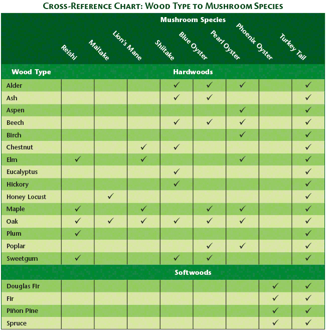 Plug spawn wood chart: Various species of fungi have preferences for different types of wood. Many cultivated strains can be grown on a wider variety of woods than indicated.